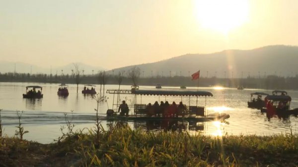 南区湿地公园东说念主气爆棚 多元面容解锁清闲新体验